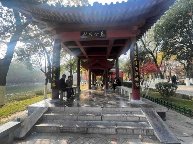 公园适老化方面这些做得还不错但还有改进空间pg模拟器试玩华商报记者走访了12座城市(图9)