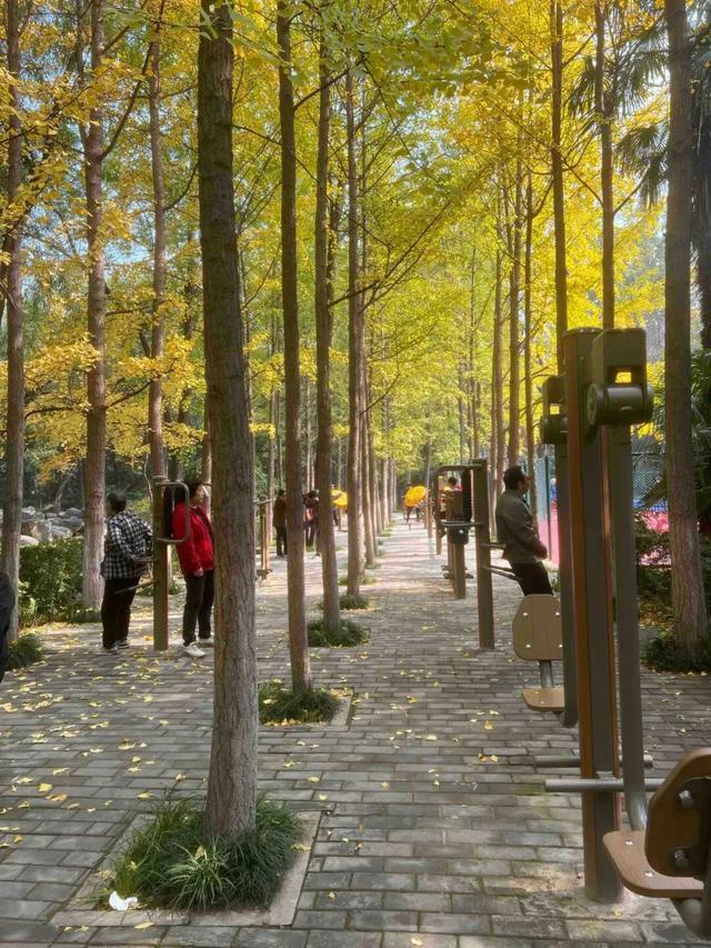 公园适老化方面这些做得还不错但还有改进空间pg模拟器试玩华商报记者走访了12座城市(图7)