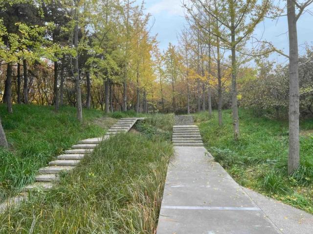 公园适老化方面这些做得还不错但还有改进空间pg模拟器试玩华商报记者走访了12座城市(图6)