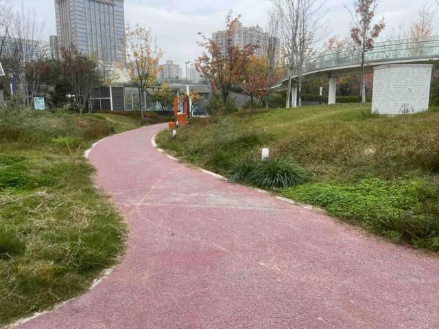 公园适老化方面这些做得还不错但还有改进空间pg模拟器试玩华商报记者走访了12座城市(图8)