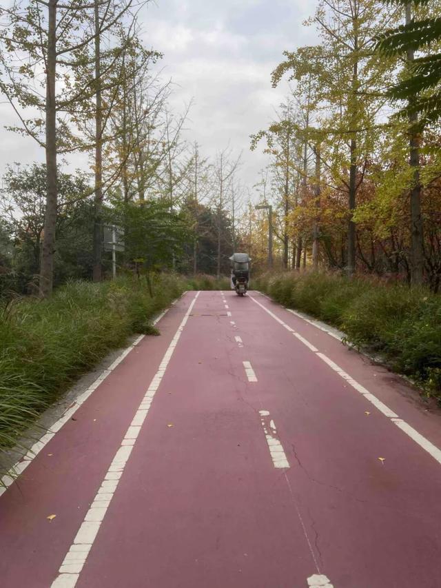 公园适老化方面这些做得还不错但还有改进空间pg模拟器试玩华商报记者走访了12座城市(图10)