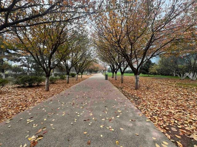 公园适老化方面这些做得还不错但还有改进空间pg模拟器试玩华商报记者走访了12座城市(图22)