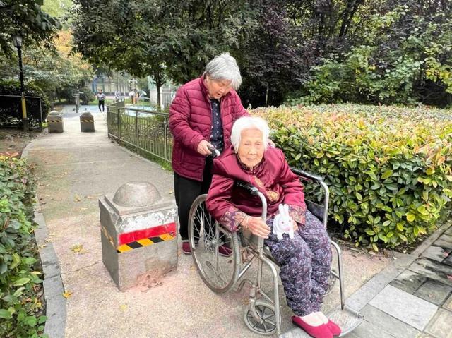 公园适老化方面这些做得还不错但还有改进空间pg模拟器试玩华商报记者走访了12座城市(图25)