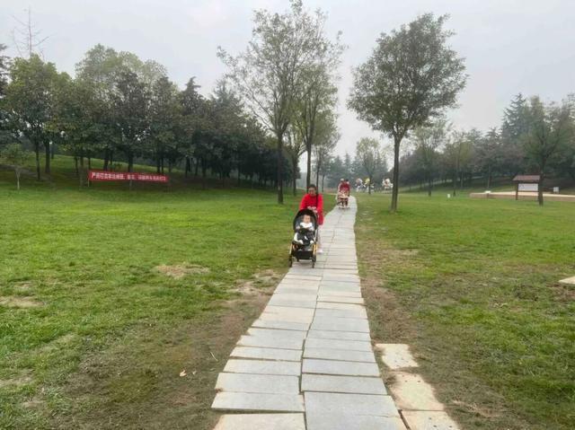 公园适老化方面这些做得还不错但还有改进空间pg模拟器试玩华商报记者走访了12座城市(图18)