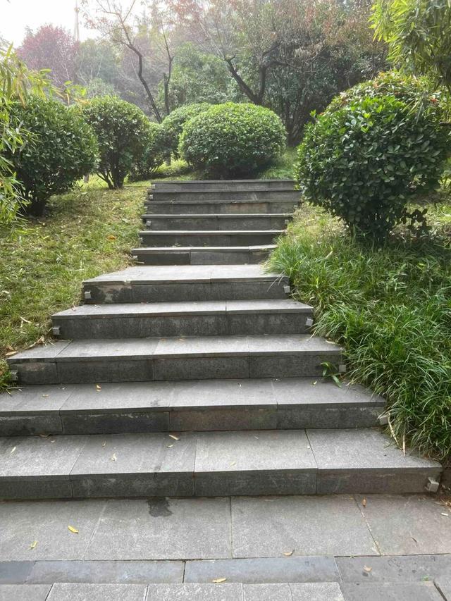 公园适老化方面这些做得还不错但还有改进空间pg模拟器试玩华商报记者走访了12座城市(图16)