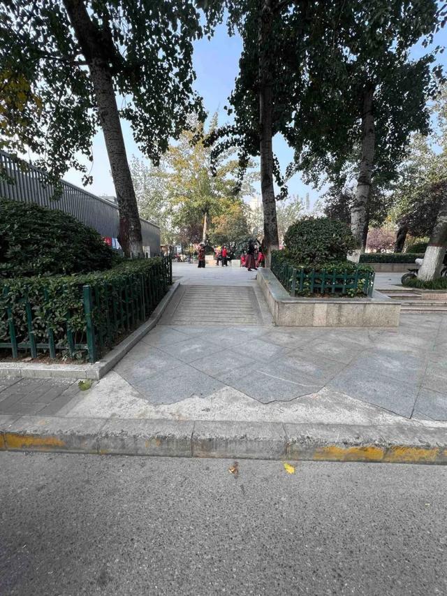 公园适老化方面这些做得还不错但还有改进空间pg模拟器试玩华商报记者走访了12座城市(图17)