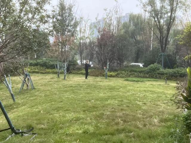 公园适老化方面这些做得还不错但还有改进空间pg模拟器试玩华商报记者走访了12座城市(图20)