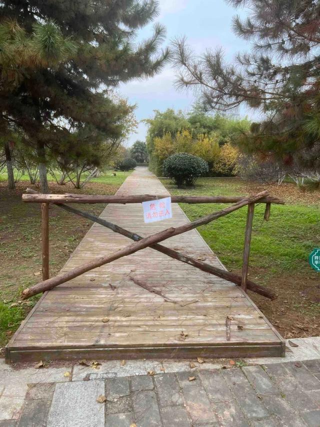 公园适老化方面这些做得还不错但还有改进空间pg模拟器试玩华商报记者走访了12座城市(图27)