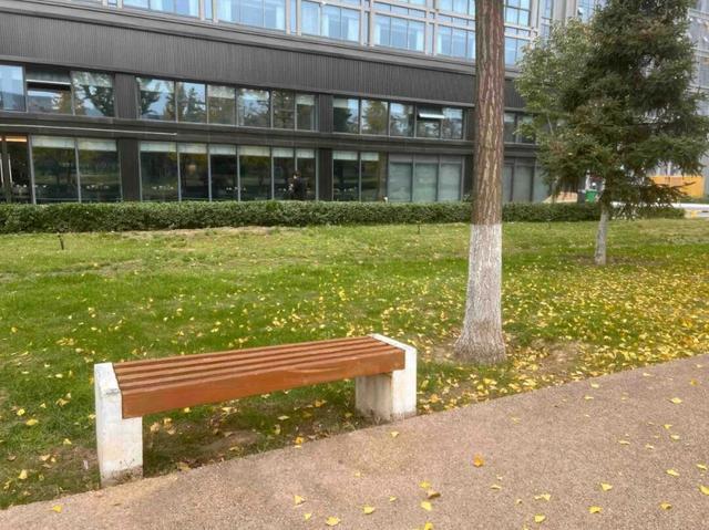 公园适老化方面这些做得还不错但还有改进空间pg模拟器试玩华商报记者走访了12座城市(图30)