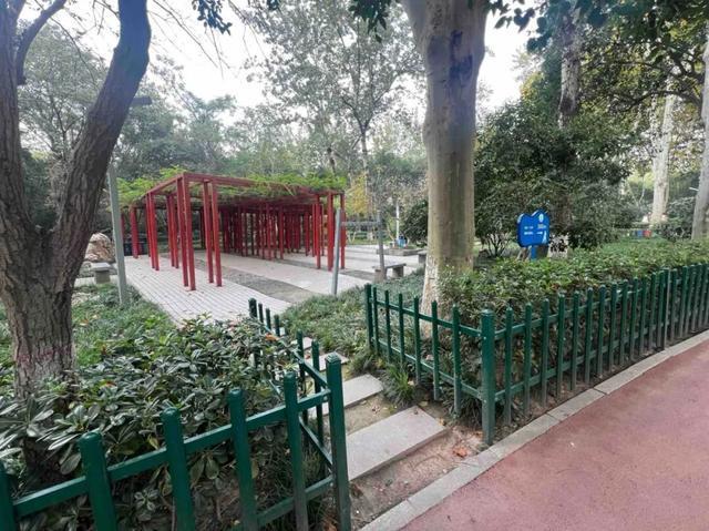 公园适老化方面这些做得还不错但还有改进空间pg模拟器试玩华商报记者走访了12座城市(图35)
