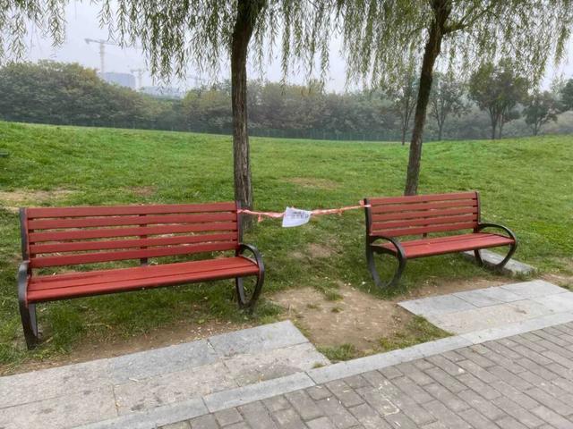 公园适老化方面这些做得还不错但还有改进空间pg模拟器试玩华商报记者走访了12座城市(图32)