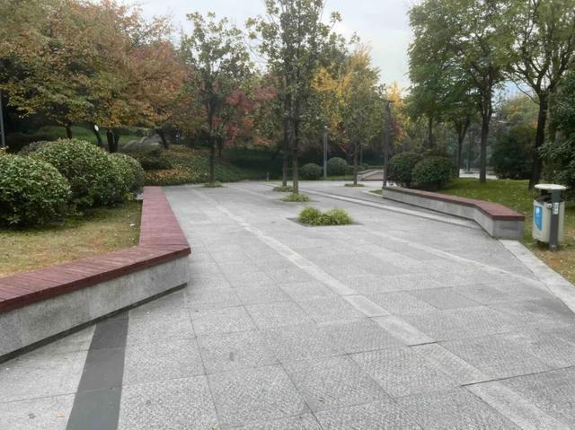 公园适老化方面这些做得还不错但还有改进空间pg模拟器试玩华商报记者走访了12座城市(图36)