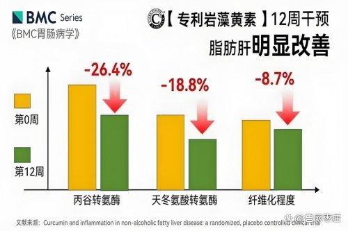 晓！脂肪肝适配首选详解pg模拟器好的护肝片揭(图2)