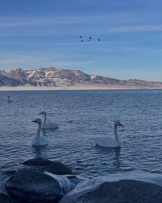 游领衔2025新疆高信誉旅行社TOP10电子pg游戏5000+游客亲测揭晓：远胜(图4)